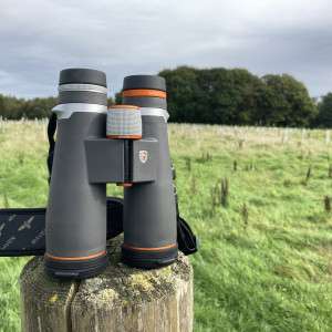 Upgrading Your Birding Experience: When to Invest in Premium Binoculars