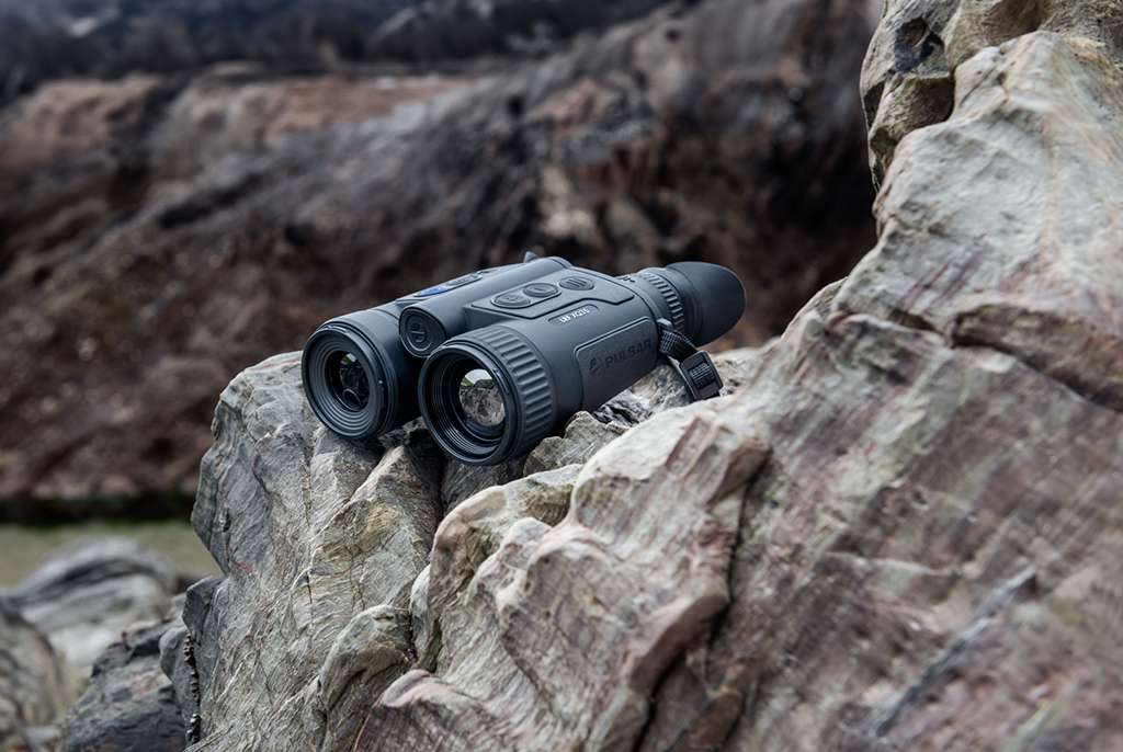 Wildlife Observation: Binoculars vs Spotting Scope