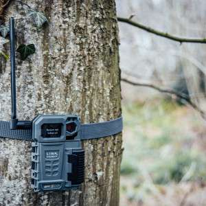 Spypoint LM2 Cellular Wildlife Camera