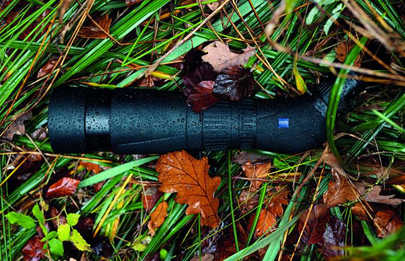 Exploring Nature Through the Lens: Tips for Using Spotting Scopes